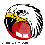 تنزيل برنامج متصفح الإنترنت بلاك هوك BlackHawk Web Browser Download